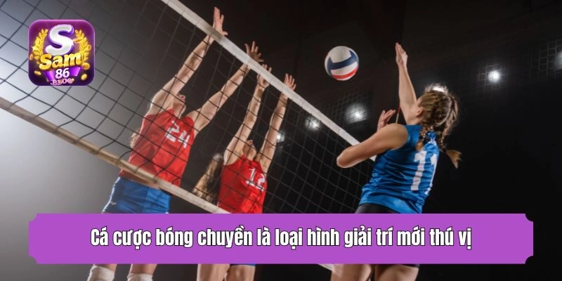 Cá cược bóng chuyền là loại hình giải trí mới thú vị