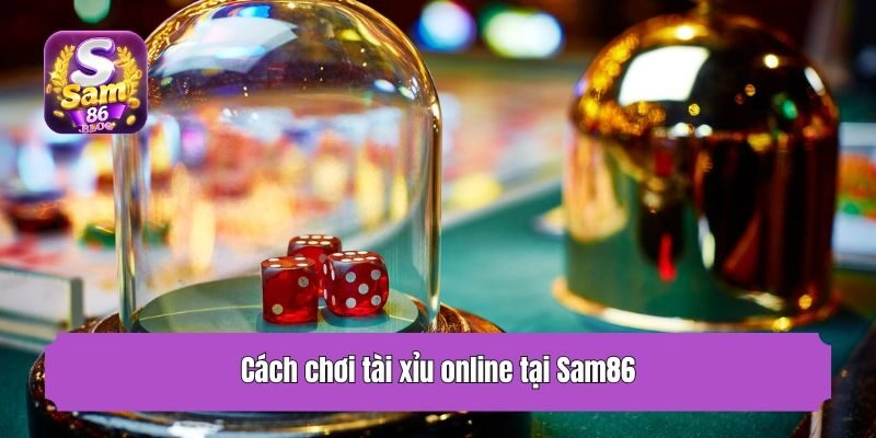 Cách chơi tài xỉu online tại Sam86
