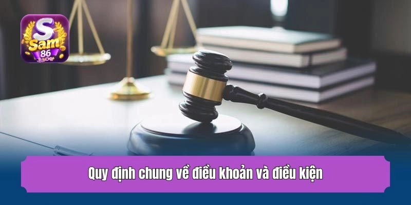 Quy định chung về điều khoản và điều kiện